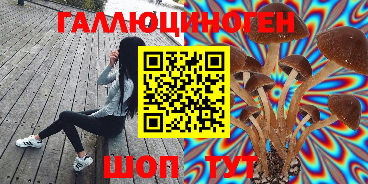 Галлюциногенные грибы ЛСД Кунгур