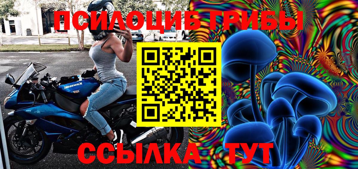Кунгур  Галлюциногенные грибы прущие грибы  Вход с VPN 